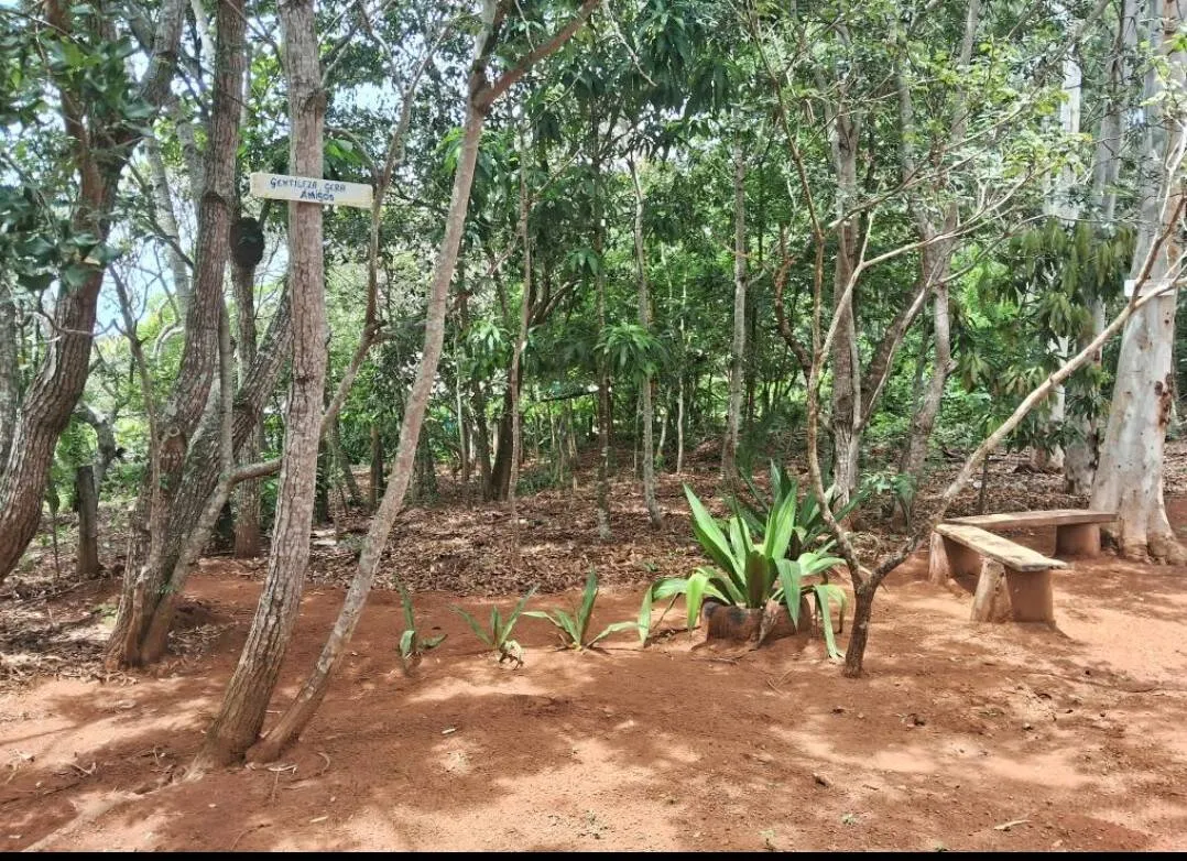 Imagem Casa Chacara em Chapada dos Guimarães