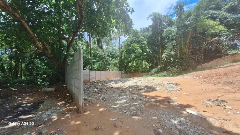 Imagem TERRENO COMERCIAL em MANAUS - AM, ALEIXO