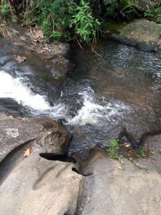 Imagem Terreno à Venda, 137.000 m² em São Domingos - Bias Fortes