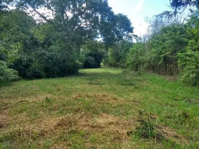 Imagem Chácara à venda 66000M², Barreiro, Taubaté - SP