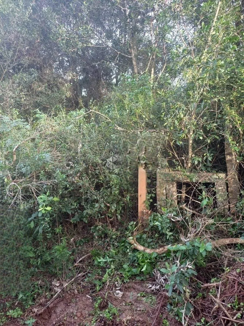 Imagem Terreno à venda Belém Novo Porto Alegre/RS