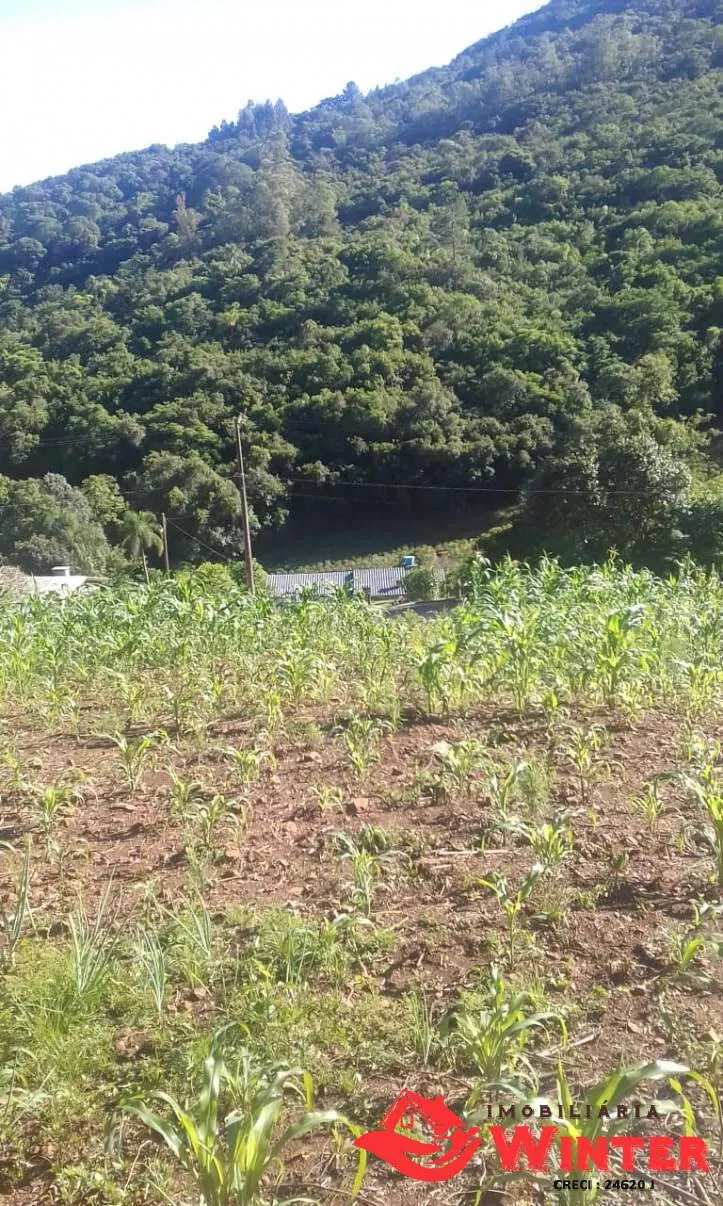 Imagem Aréa em área rural, Feliz.