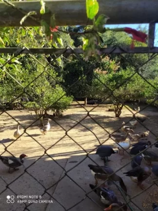 Imagem Incrível Chácara 100% Plana Acesso Asfaltado!!!