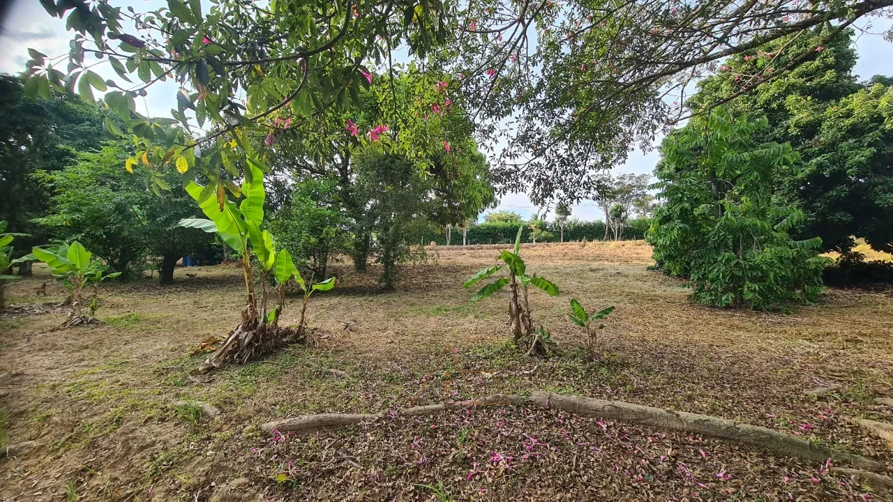 Imagem Chacara à venda em Cesário Lange-SP, bairro Guarapó, com 5.287,00 m² de área: sua oportunidade de investimento!