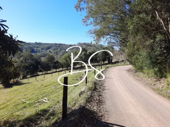 Imagem SITIO RURAL em IGREJINHA - RS, Rochedo