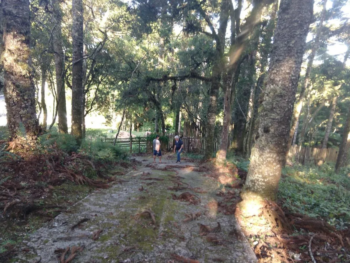 Imagem Terreno para Venda em São Francisco de Paula / RS