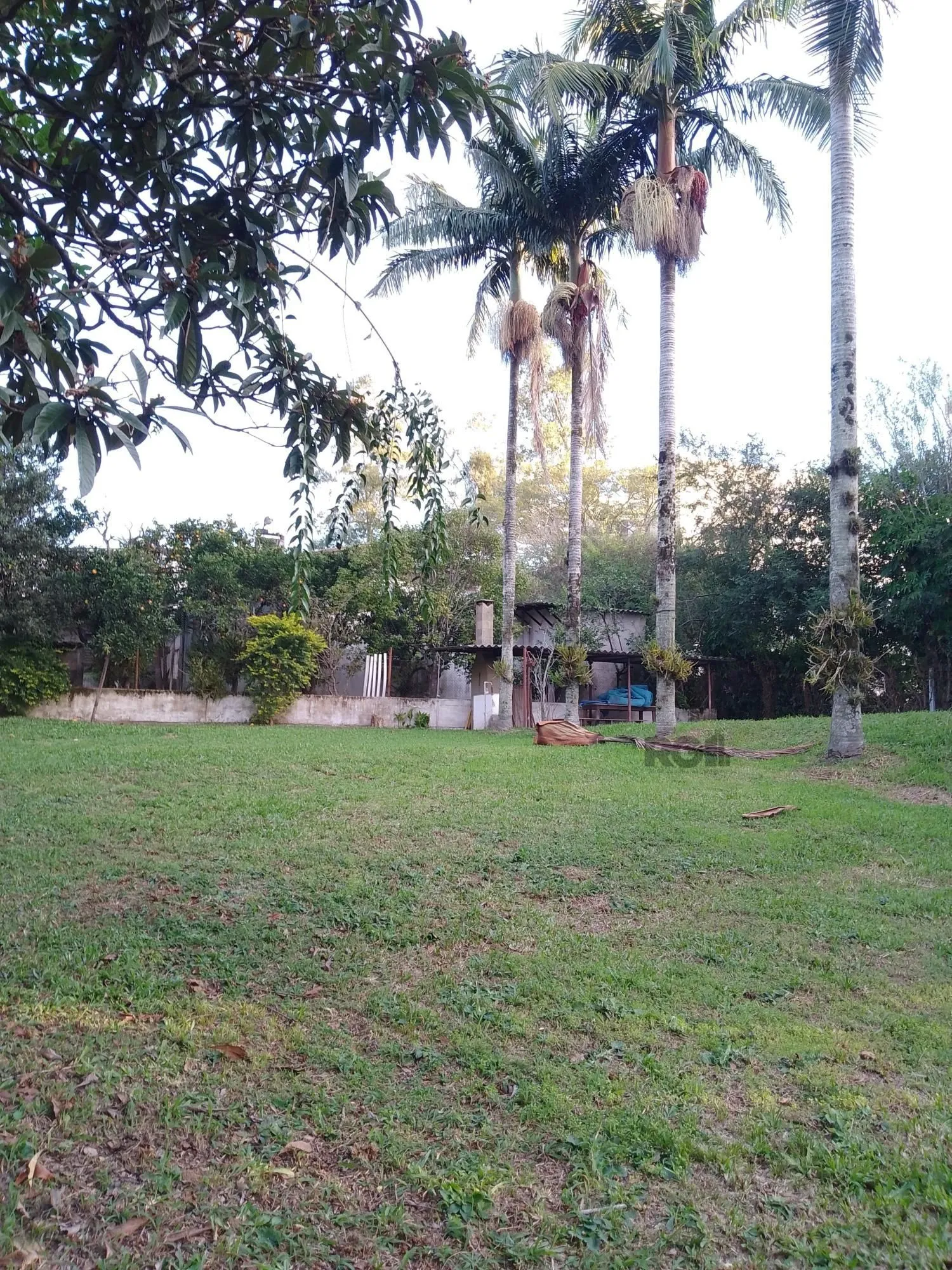 Imagem Casa 4 dormitórios, terreno com 1639m² à venda no Morro Santana