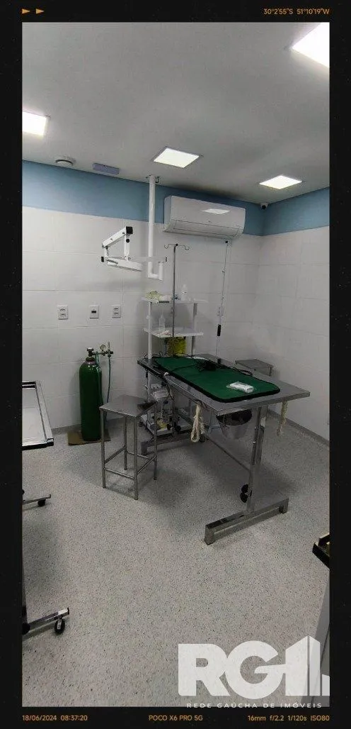 Imagem Clínica veterinária pronta na Cristiano Fischer