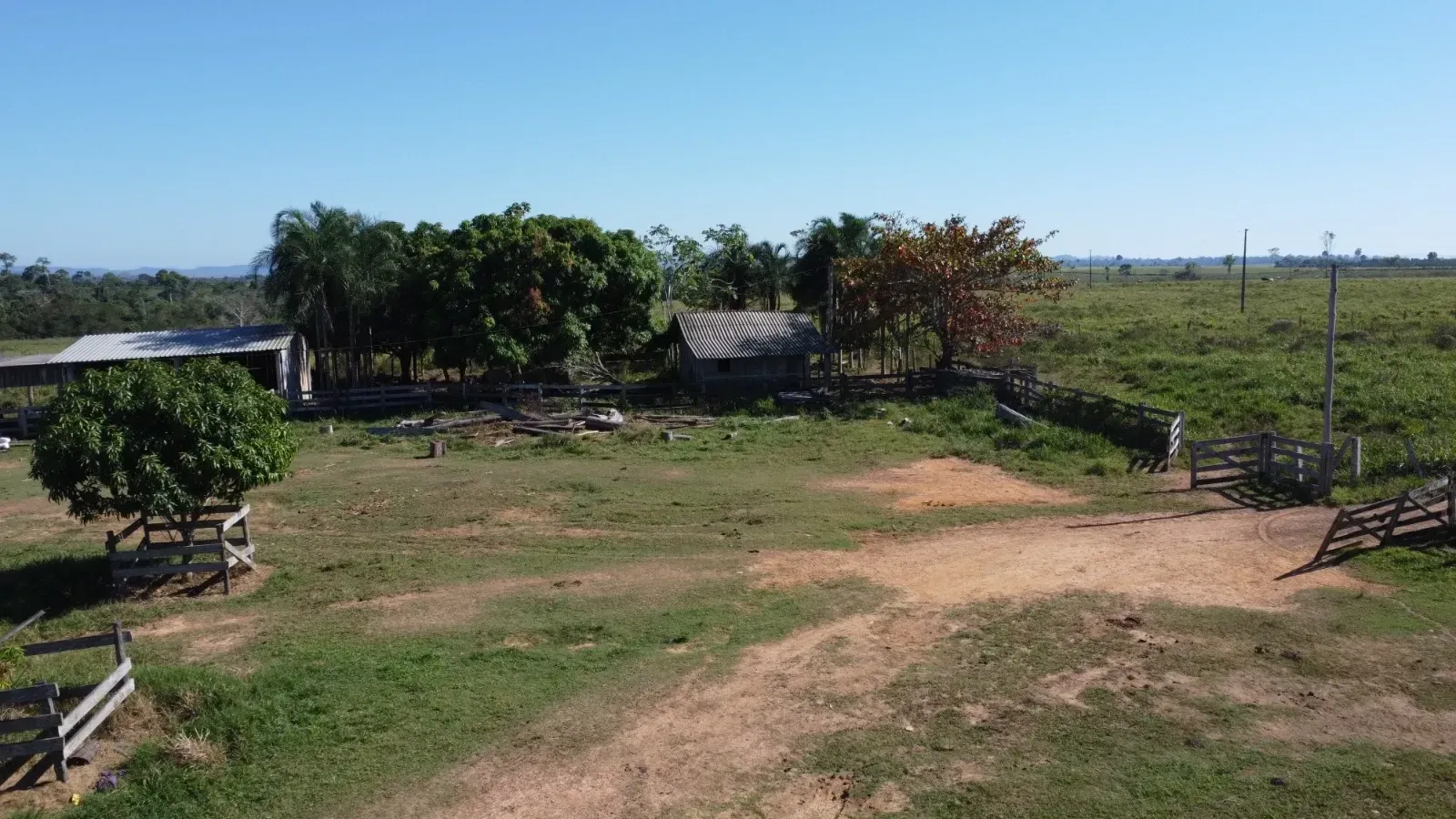 Imagem Fazenda à Venda, 484 HA em São Félix do Xingu - São Félix do Xingu