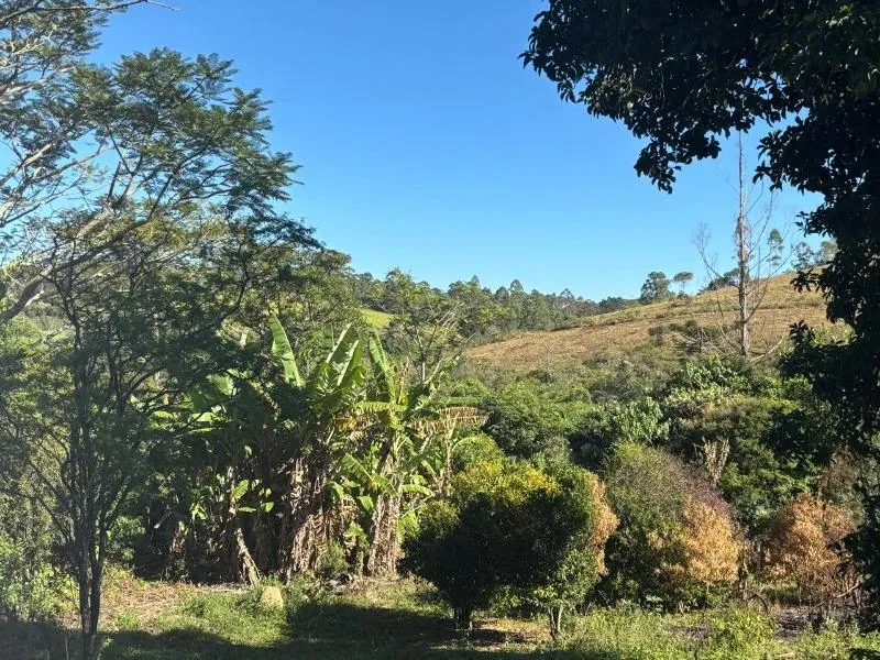 Imagem FAZENDA À VENDA - DESTERRO DE ENTRE RIOS (MG) 51 hectares de área total
