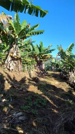 Imagem Sítio à venda