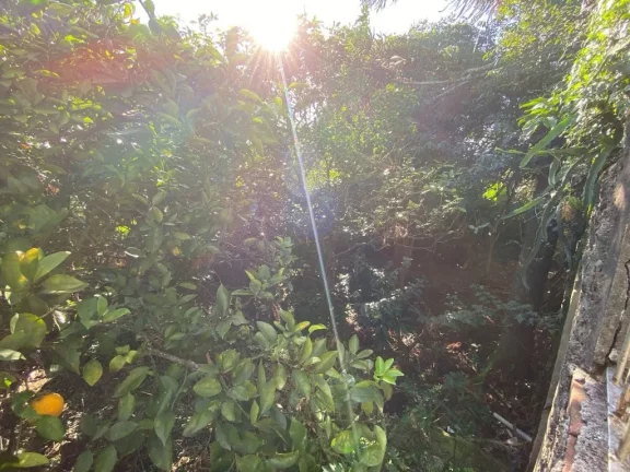 Imagem TLDM 2068 Lote POA13523 - Terreno à venda no bairro Tristeza - Porto Alegre/RS