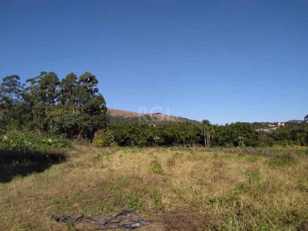 Imagem Area para Venda - 36.900m² - Campo Novo
