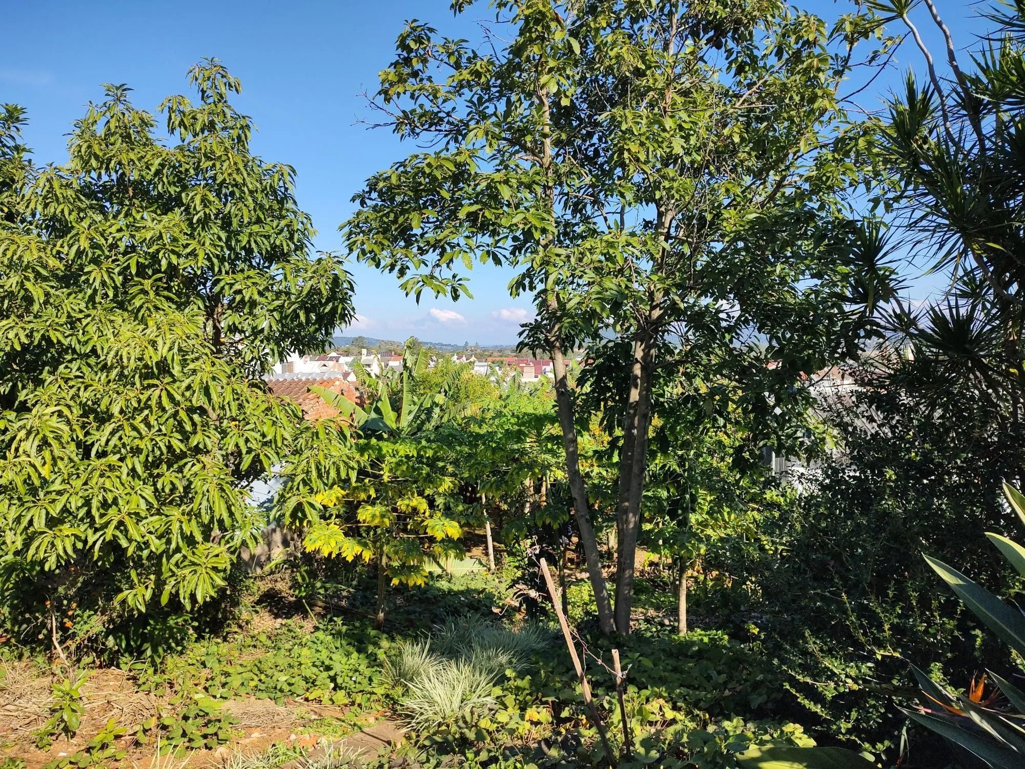 Imagem Casa térrea 90m² privativos, 2 quartos 1 vaga coberta - Espírito Santo