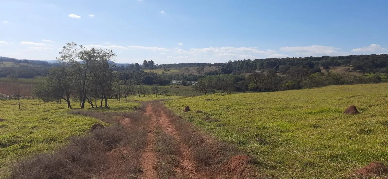 Imagem Terreno à Venda em Carmópolis de Minas 13,5 hectares, todo formado