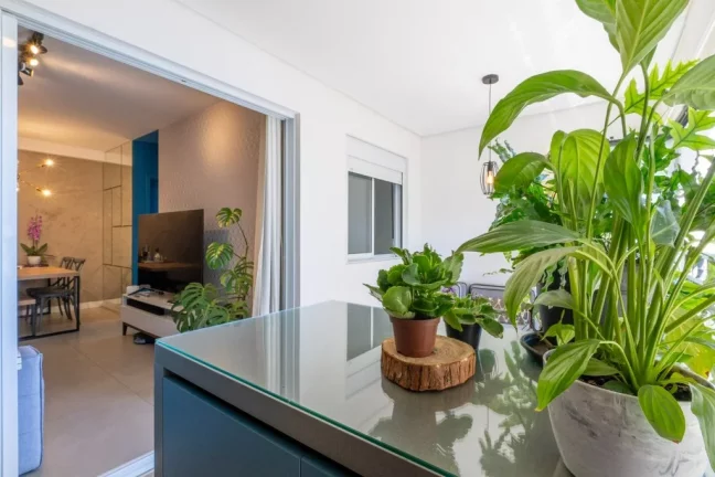 Imagem Apartamento à venda em São Paulo, Vila Suzana, com 2 quartos, 68m2