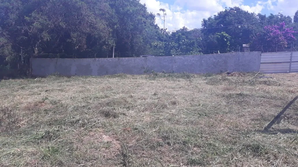 Imagem Área com pré projeto para construção de um empreendimento de apartamentos