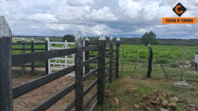 Imagem FAZENDA EM NOVA SOURE