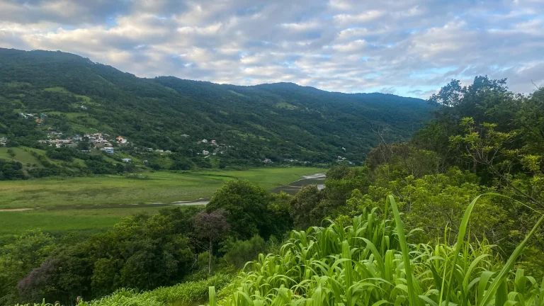Imagem Oportunidade única: Terreno à venda em Garopaba-SC, Bairro Macacu, 1.000m² de área!