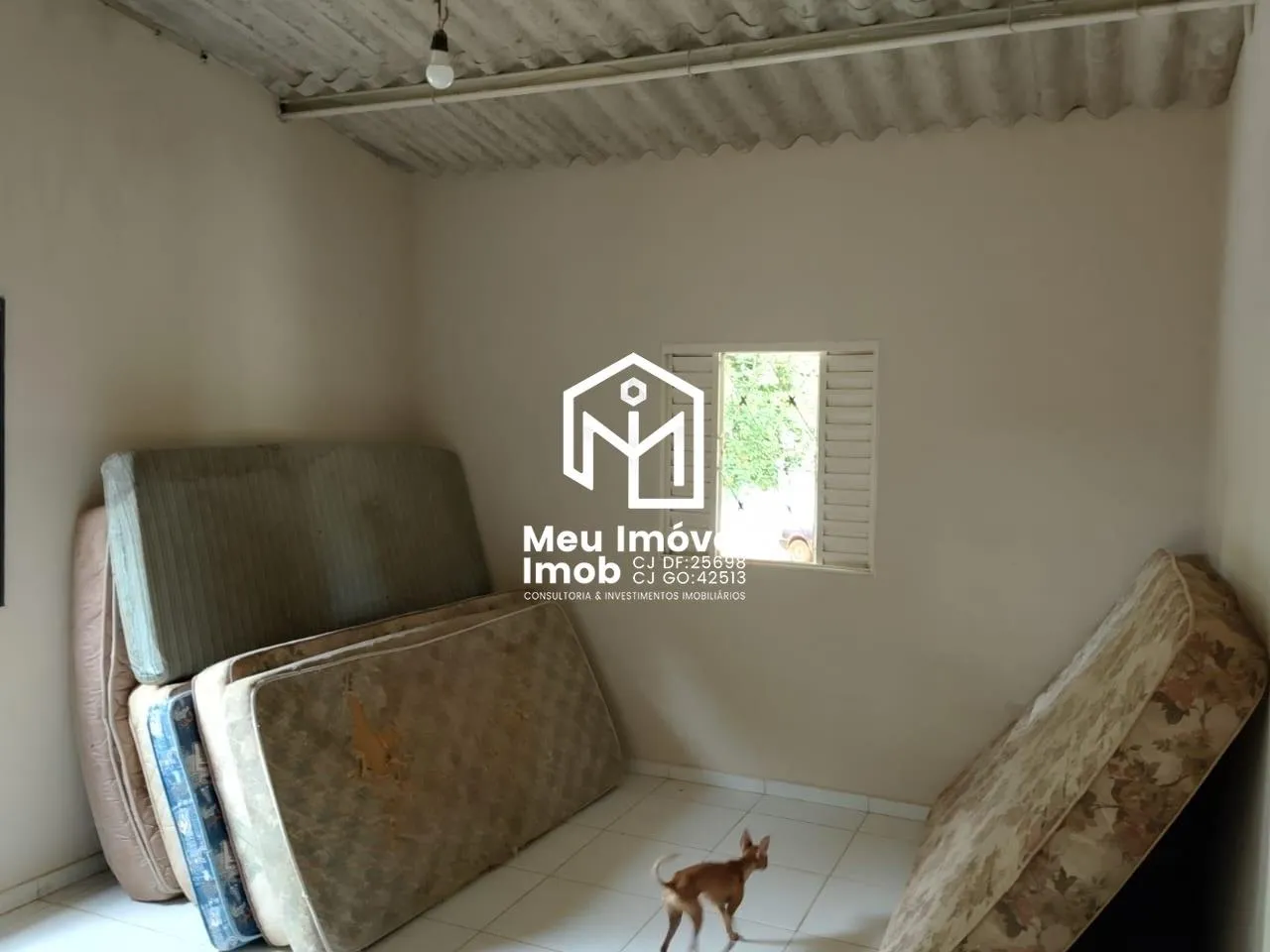 Imagem Chácara com 2 Casas no Povoado dos Americanos- Luziânia