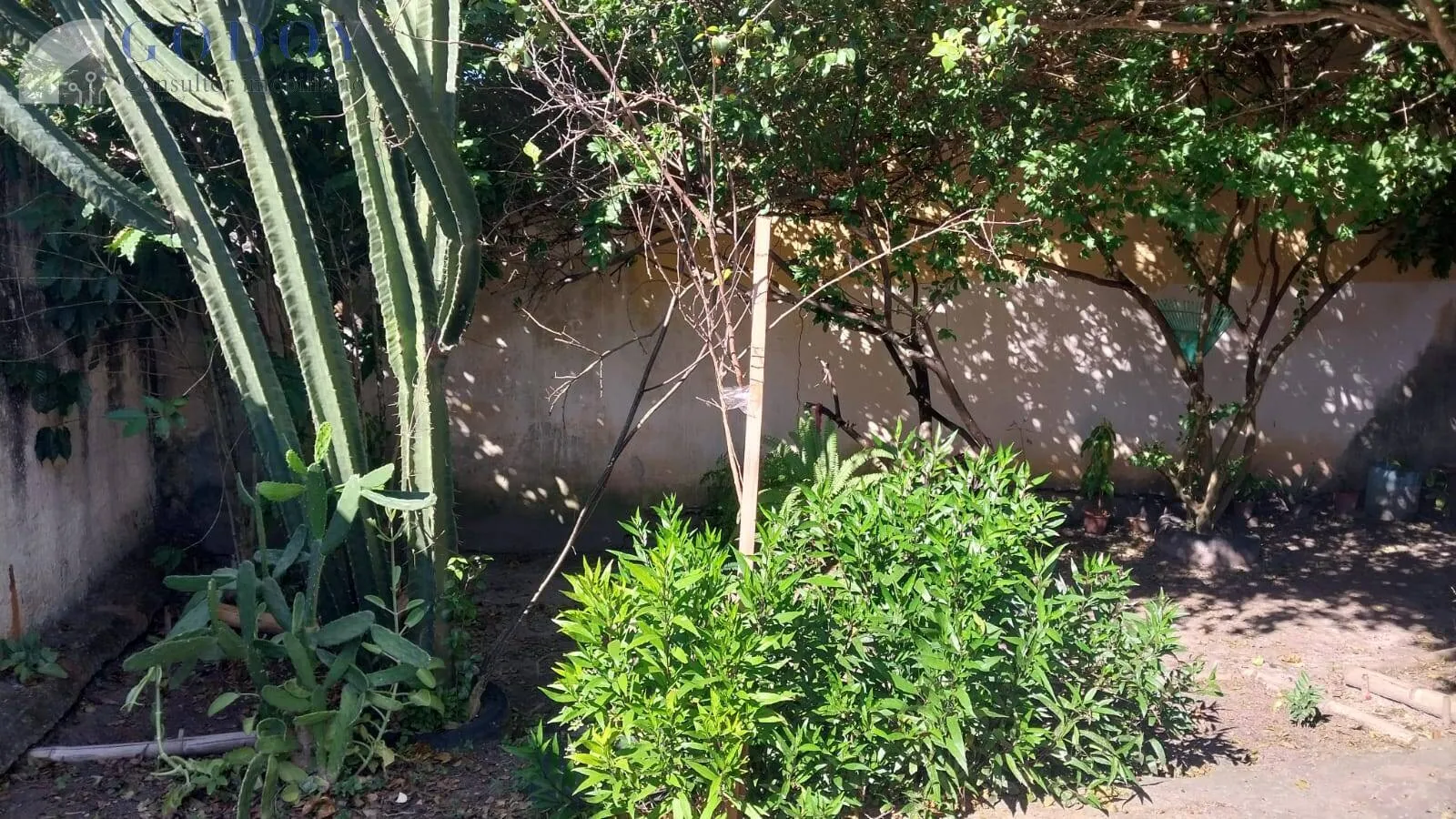 Imagem Oportunidade de Casa à Venda - Bairro Crispim
