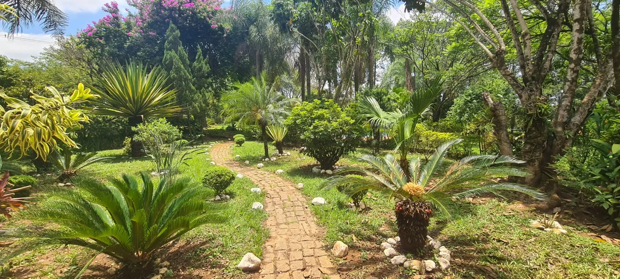 Foto do imóvel: Chácara com 3 Quartos à Venda, 367 m² em Área Rural de Cesário Lange - Cesário Lange