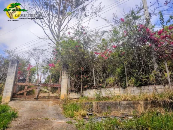 Imagem CHACARA EM IBIÚNA A VENDA