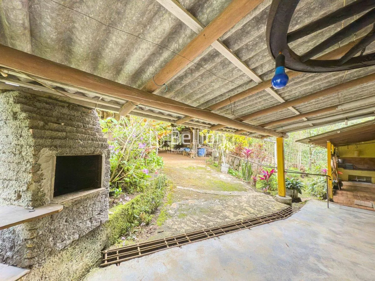 Imagem Sítio com casa em madeira de lei e riqueza em água em Rio dos Cedros