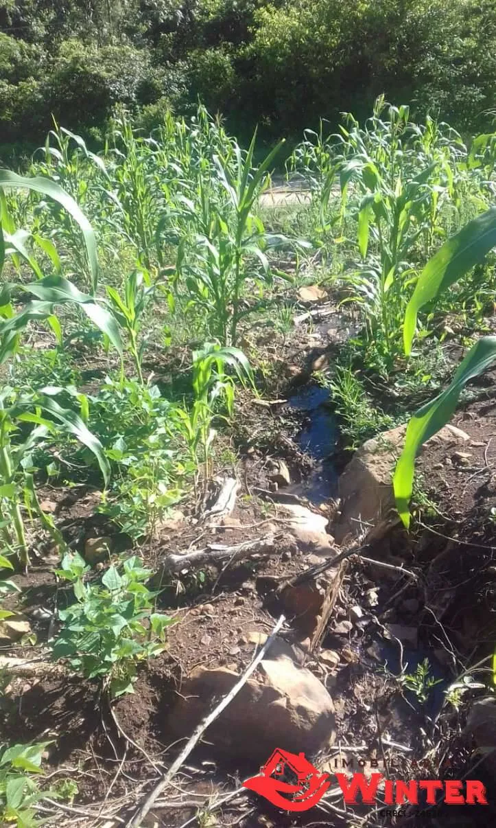 Imagem Aréa em área rural, Feliz.