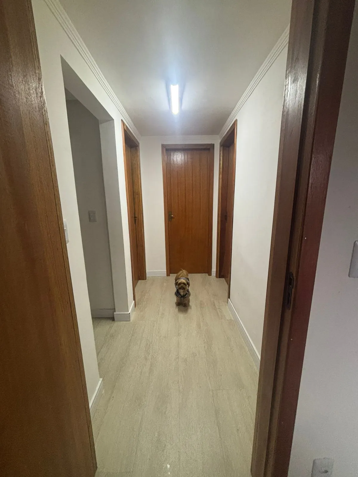 Imagem Casa com 03 quartos (01 suíte), 02 vagas, no Bairro Vila Conceição