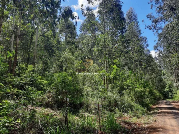 Imagem Área Agrícola para Venda em Concórdia, Interior
