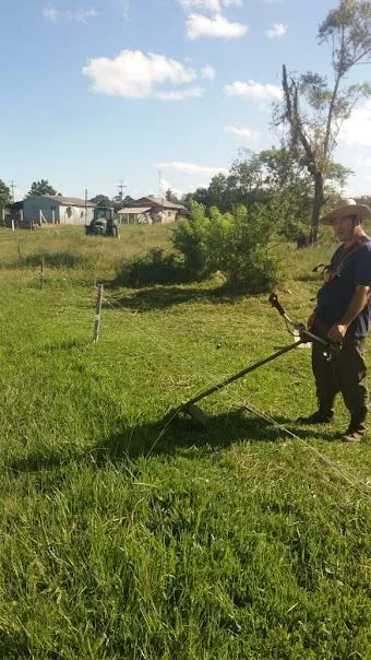 Imagem Sítio em Pedreira