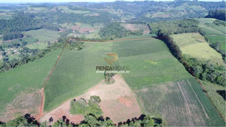 Imagem Área Agrícola para Venda em Lindóia do Sul, Rural