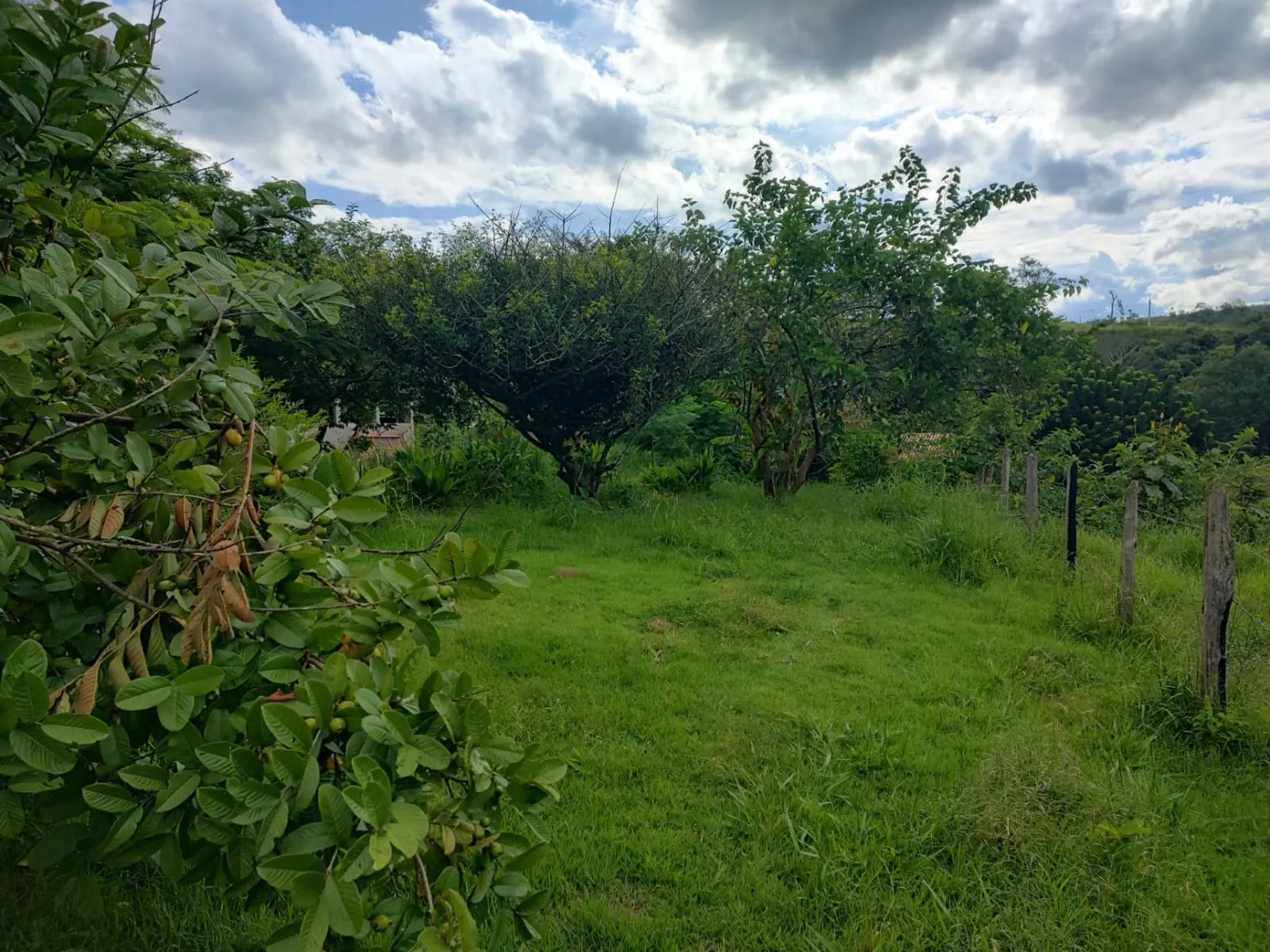 Imagem Chácara à venda 3 Quartos, 1 Suite, 20 Vagas, 24000M², Registro, Taubaté - SP