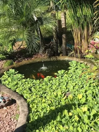 Imagem Lindo chalé com quiosque em condomínio fechado, Águas Claras, Viamão
