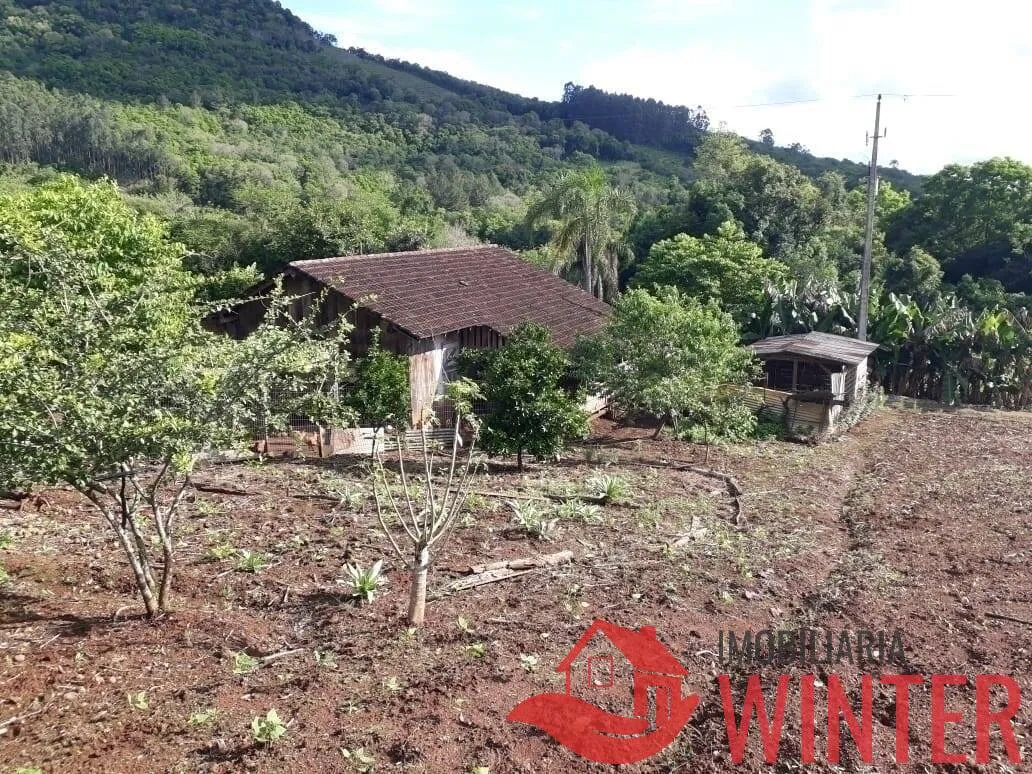 Imagem Chácara com 2 hectares bairro Matiel, Feliz.