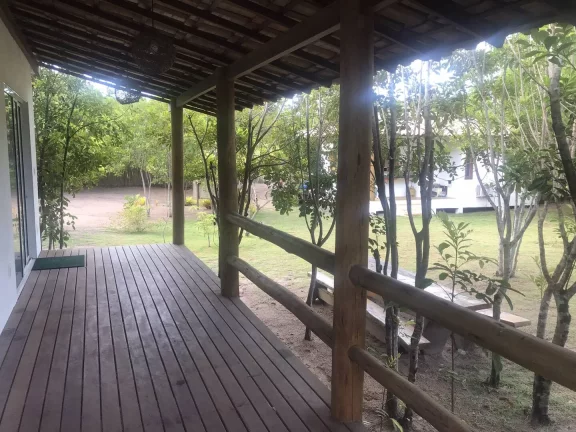 Imagem TERRA DOS PÁSSAROS