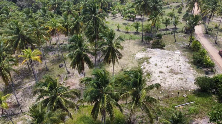 Imagem TERRENO EXCLUSIVO BEIRA MAR - CASSANGE