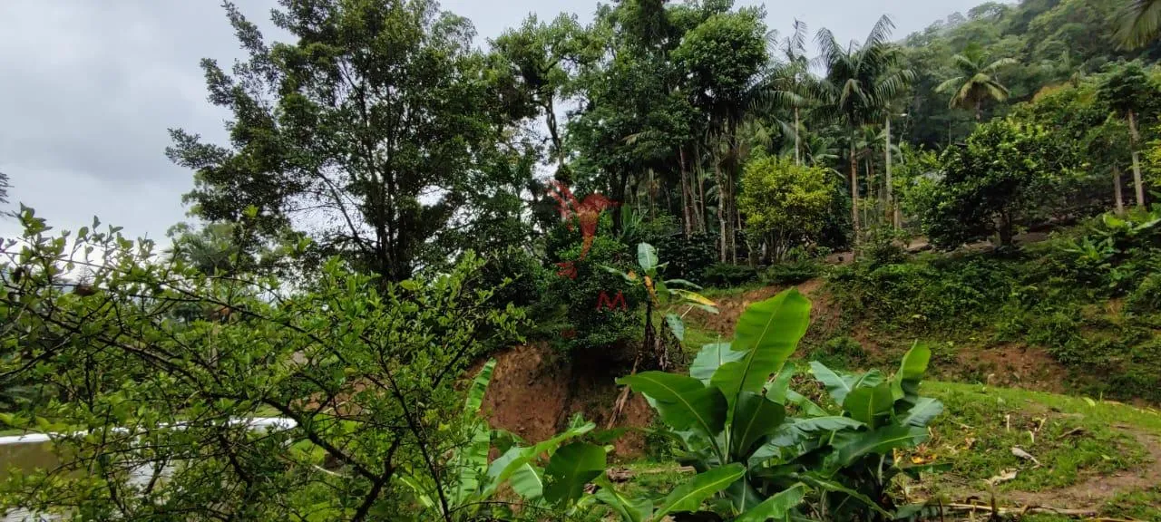 Imagem SITIO EM BLUMENAU, DOCUMENTAÇÃO TUDO OK ESTRUTURA DA CASA COM 8 CAMINHOES DE CONCRETO