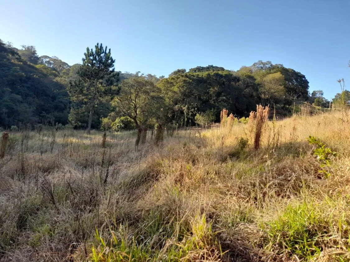 Imagem TERRENO - BAIRRO DA RESSACA - IBIUNA