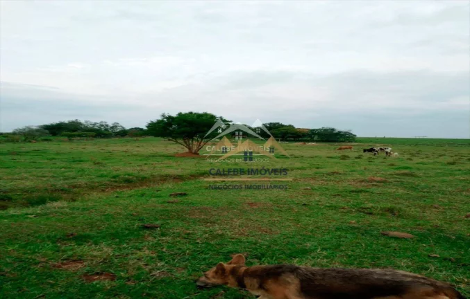 Imagem Chácara com 3 dormitórios à venda, 36000 m² por R$ 550.000,00 - Rio da Várzea - Cesário Lange/SP