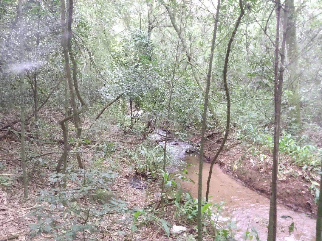Imagem Área para Venda - 11,39ha, bairro Belém Velho