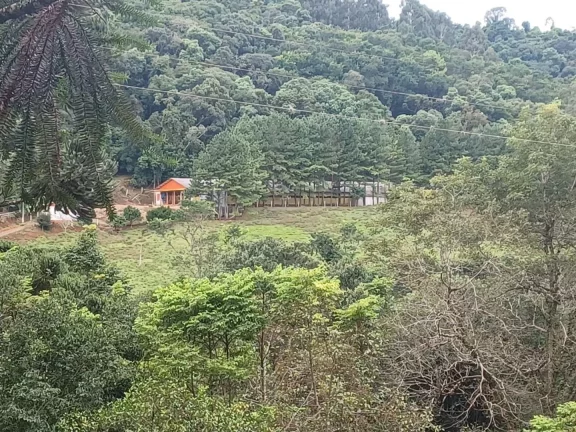 Imagem Área Agrícola para Venda em Ipumirim, Rural