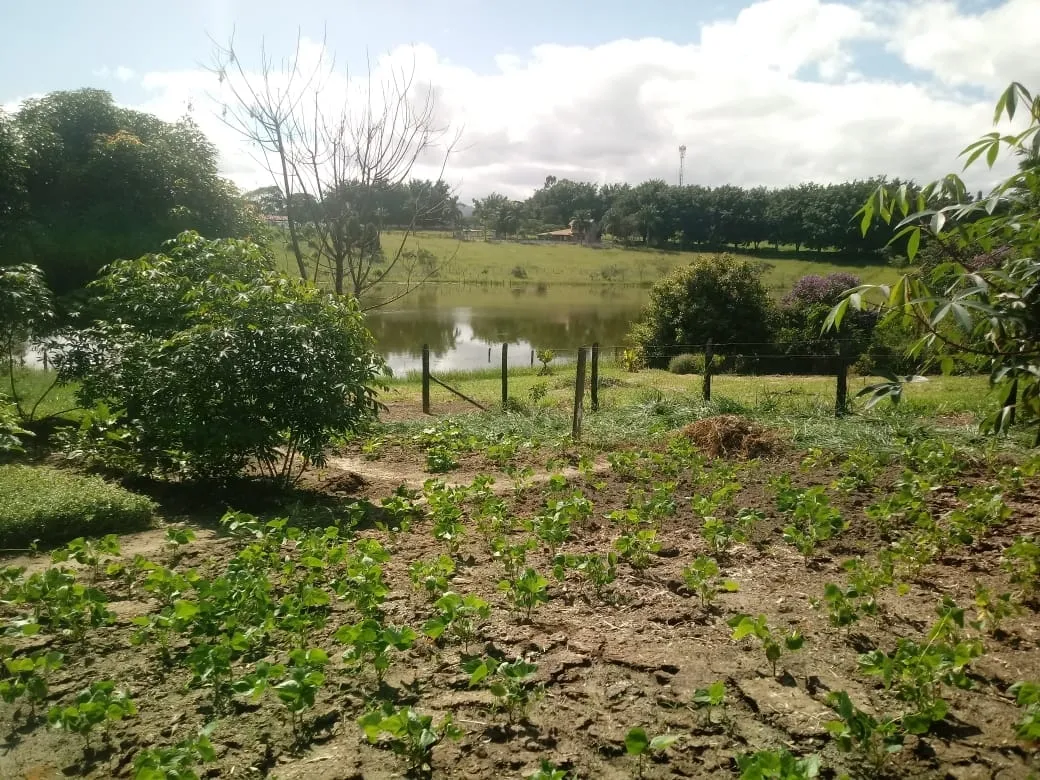 Imagem Chácara à venda e locação 3 Quartos, 3950M², Goiabal, Pindamonhangaba - SP