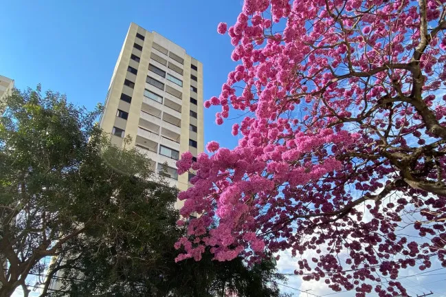 Imagem Apartamento com 1 Quarto para Alugar, 40 m² em Vila Bertioga - São Paulo