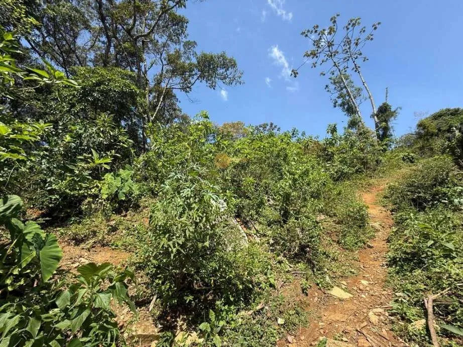 Imagem Terreno para Venda em Teresópolis / RJ no bairro Granja Guarani