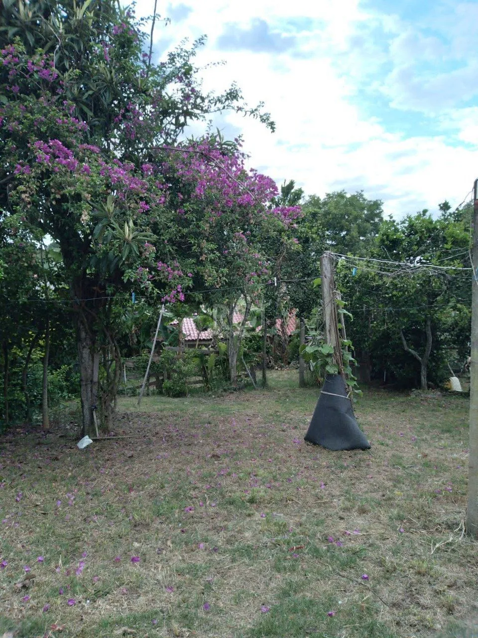 Imagem Casa em Belém Novo