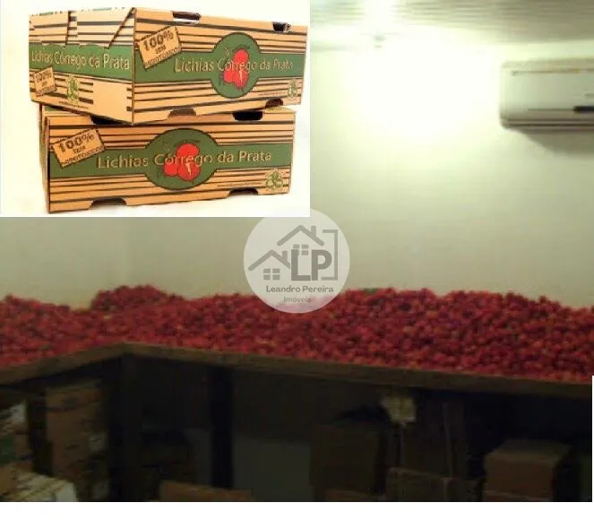 Imagem Fazenda/Sítios/Chácaras de 480000m² no bairro Carmo, em Carmo