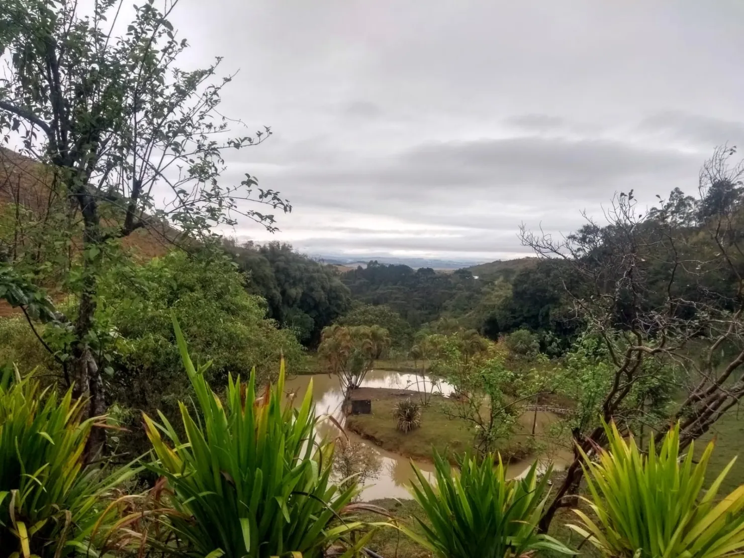 Imagem Chácara à venda 3 Quartos, 1 Suite, 2008600M², Zona Rural, Caçapava - SP