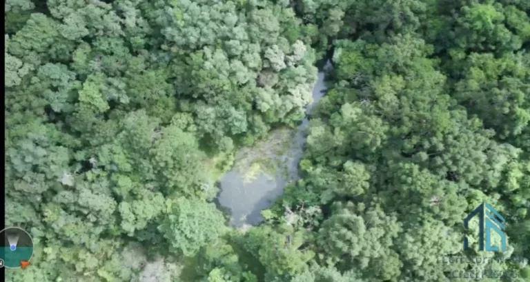 Imagem Chácara oportunidade de Ouro, bem localizada na estrada Cabeça D'anta, Bocaiúva do Sul com 09(nove) alqueires,